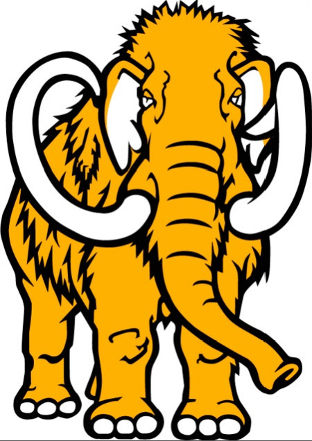 Mammoth Lifestyle